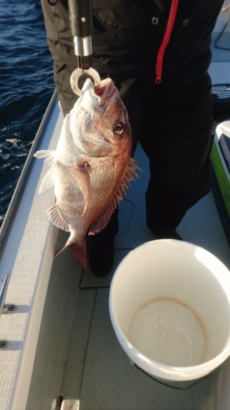 遊漁船ブルーウッズ 釣果