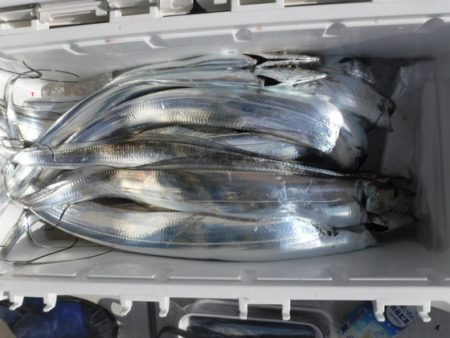 遊漁船 幸友丸 釣果