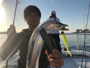 シーマジカル 釣果