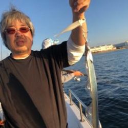 シーマジカル 釣果