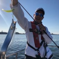 シーマジカル 釣果