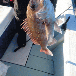 遊漁船ブルーウッズ 釣果