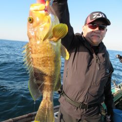 真祐丸 （しんゆうまる） 釣果