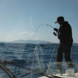 開進丸 釣果