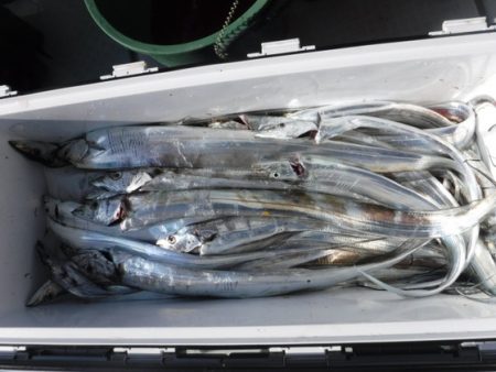 遊漁船 幸友丸 釣果