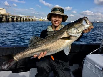 シーマジカル 釣果