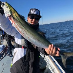 深川 吉野屋 釣果