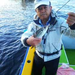 深川 吉野屋 釣果