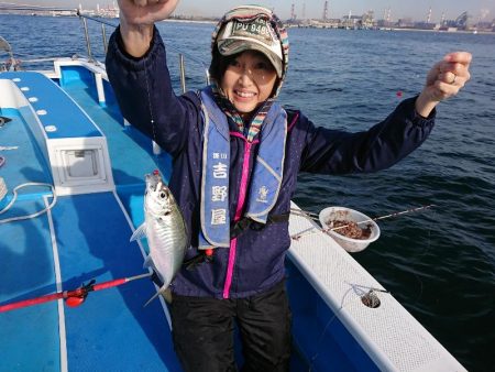 深川 吉野屋 釣果