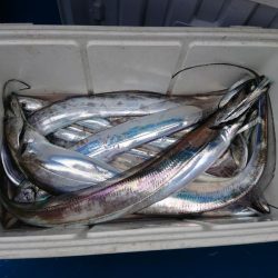 深川 吉野屋 釣果