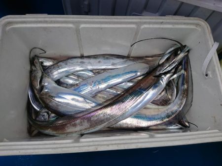 深川 吉野屋 釣果