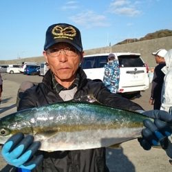 大進丸(新潟) 釣果
