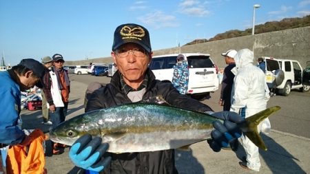 大進丸（新潟） 釣果