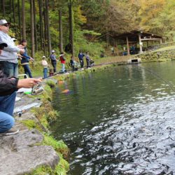 小菅トラウトガーデン 釣果