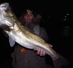 シーマジカル 釣果