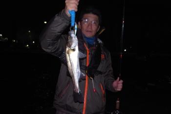 シーマジカル 釣果