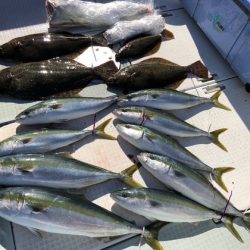 ふじしめ丸 釣果