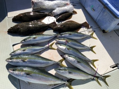 ふじしめ丸 釣果