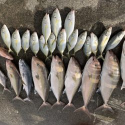 フィッシングハウス伊藤 釣果