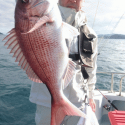 遊漁船ブルーウッズ 釣果