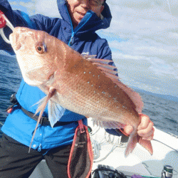 遊漁船ブルーウッズ 釣果