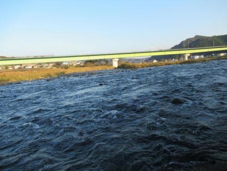狩野川（狩野川漁業協同組合） 釣果