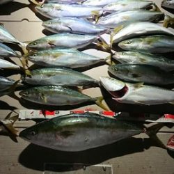 スカイマリン 釣果