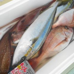 こうゆう丸 釣果