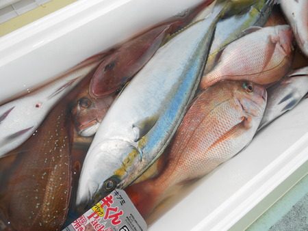 こうゆう丸 釣果