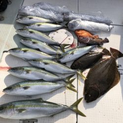 ふじしめ丸 釣果