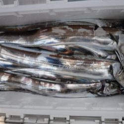 遊漁船 幸友丸 釣果