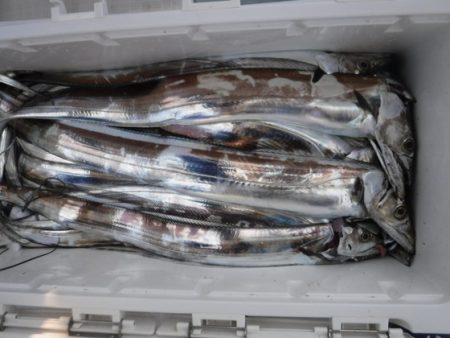 遊漁船 幸友丸 釣果