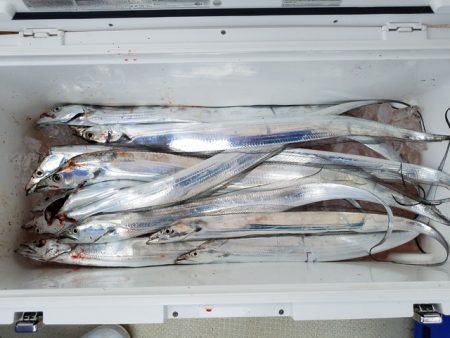 遊漁船　ニライカナイ 釣果