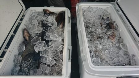 伊豆下田フィッシング 釣果