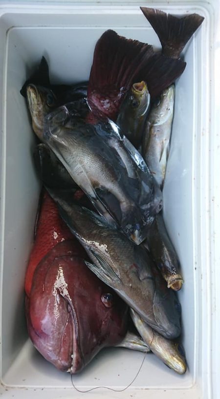 伊豆下田フィッシング 釣果