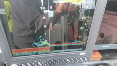 遊漁船ブルーウッズ 釣果