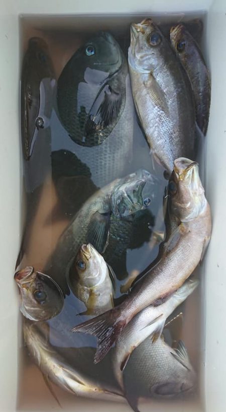 伊豆下田フィッシング 釣果