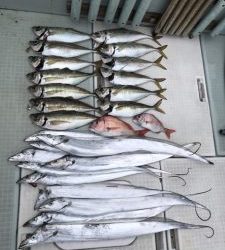 さぶろう丸 釣果