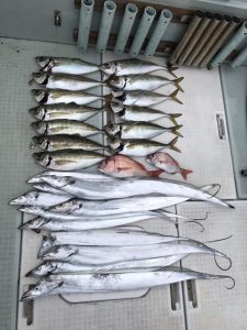 さぶろう丸 釣果
