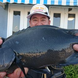 伊豆下田フィッシング 釣果