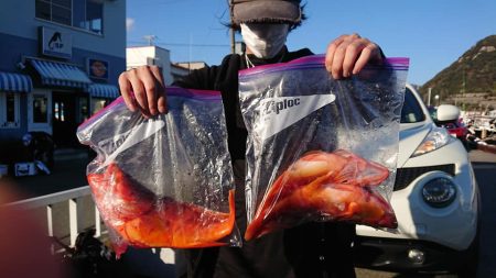 伊豆下田フィッシング 釣果