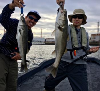 シーマジカル 釣果