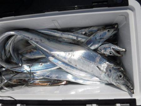 遊漁船 幸友丸 釣果