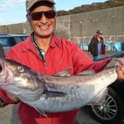 大進丸(新潟) 釣果