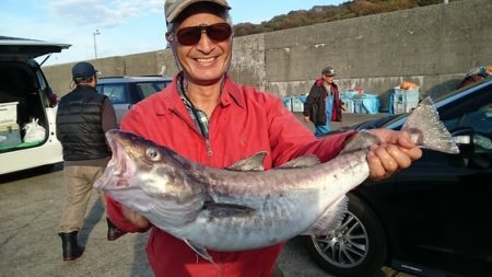 大進丸(新潟) 釣果