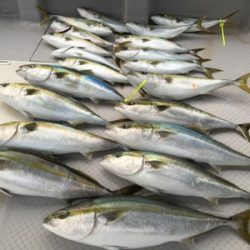 ミタチ丸 釣果