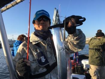 シーマジカル 釣果