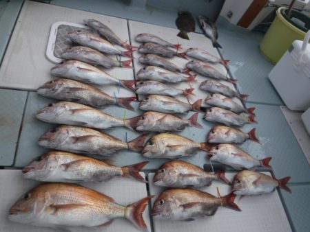 遊漁船 幸友丸 釣果