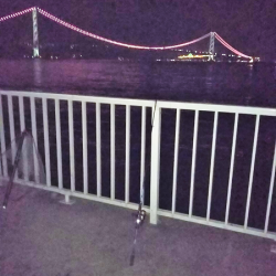 晩秋エギング パート3