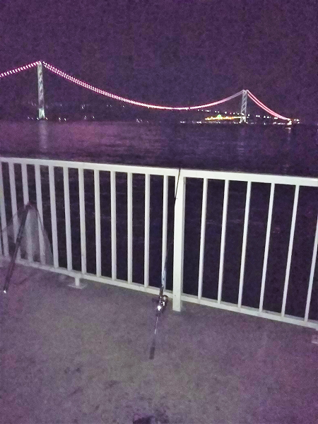 晩秋エギング パート3